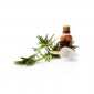 racine Huile essentielle d'arbre A The 10 ml