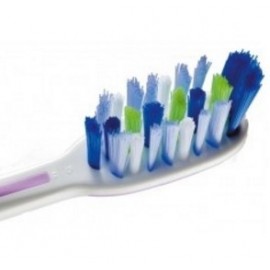 Fuchs Brosse A Dents Plaque Clinic Medium