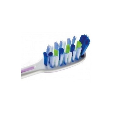 Fuchs Brosse A Dents Plaque Clinic Medium