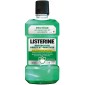 Listerine Protection Dents et Gencives 250 ml